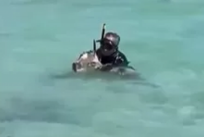 Homem é flagrado segurando tartaruga marinha na Praia do Pontal e vídeo causa revolta em Arraial