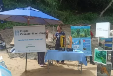 Búzios realiza educação ambiental em parceria com o ‘Projeto Cavalos-Marinhos’ no sábado (29)