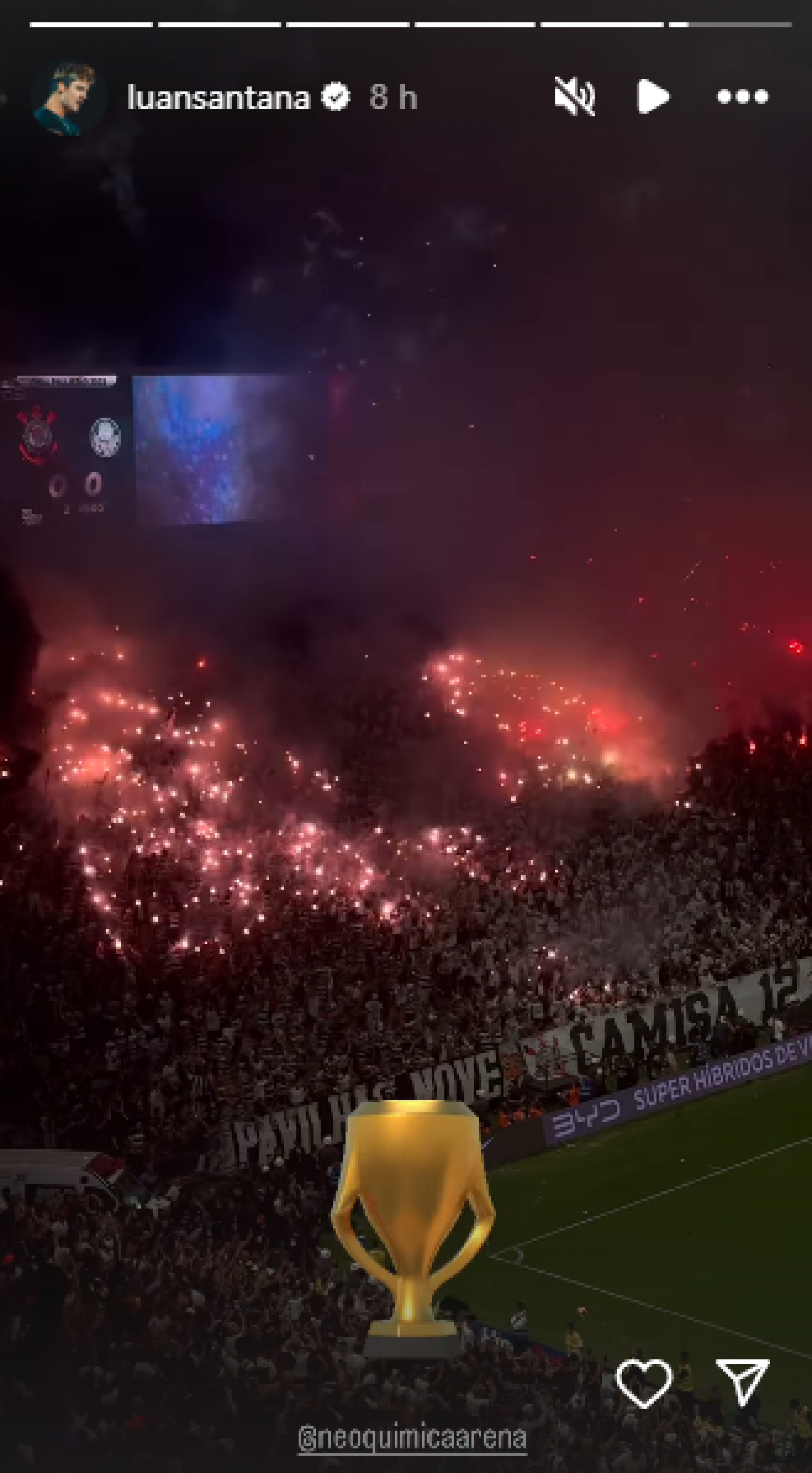 Luan Santana comemora título do Corinthians no Campeonato Paulista - Reprodução de vídeo / Instagram