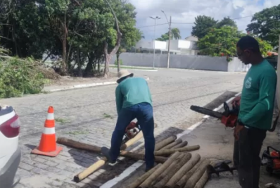 Área de mangue no Portinho recebe ação contra descarte de lixo em Cabo Frio