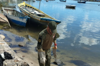 Fogo às margens da Lagoa de Araruama é controlado após ação rápida da Prefeitura de Cabo Frio