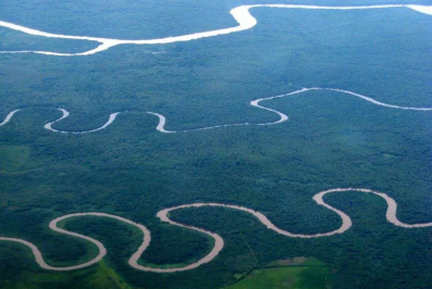 Pantanal Fluminense: santuário de mangues em Guapimirim