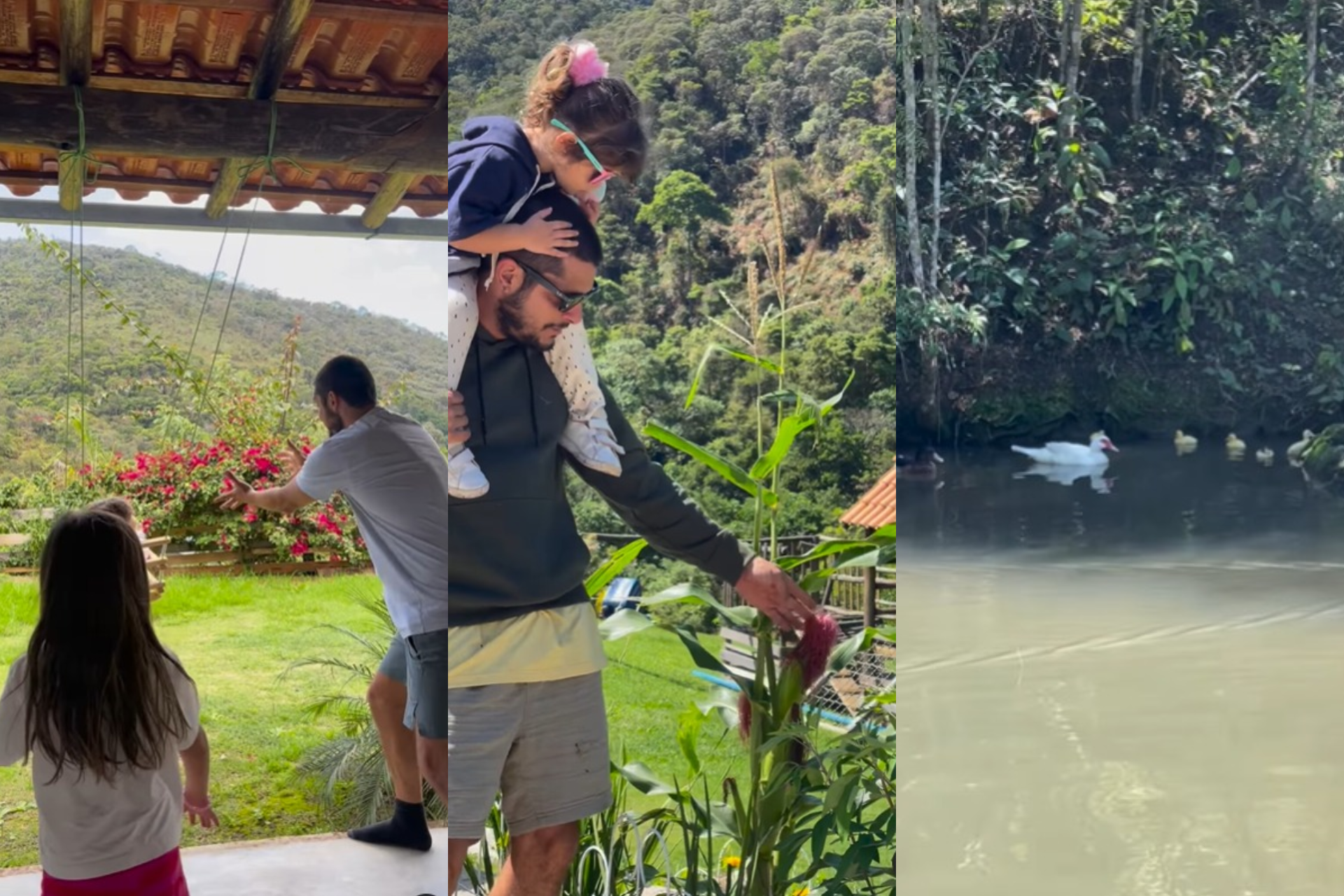 Yanna Lavigne mostra detalhes da rotina morando no sítio com a família - Reprodução Instagram