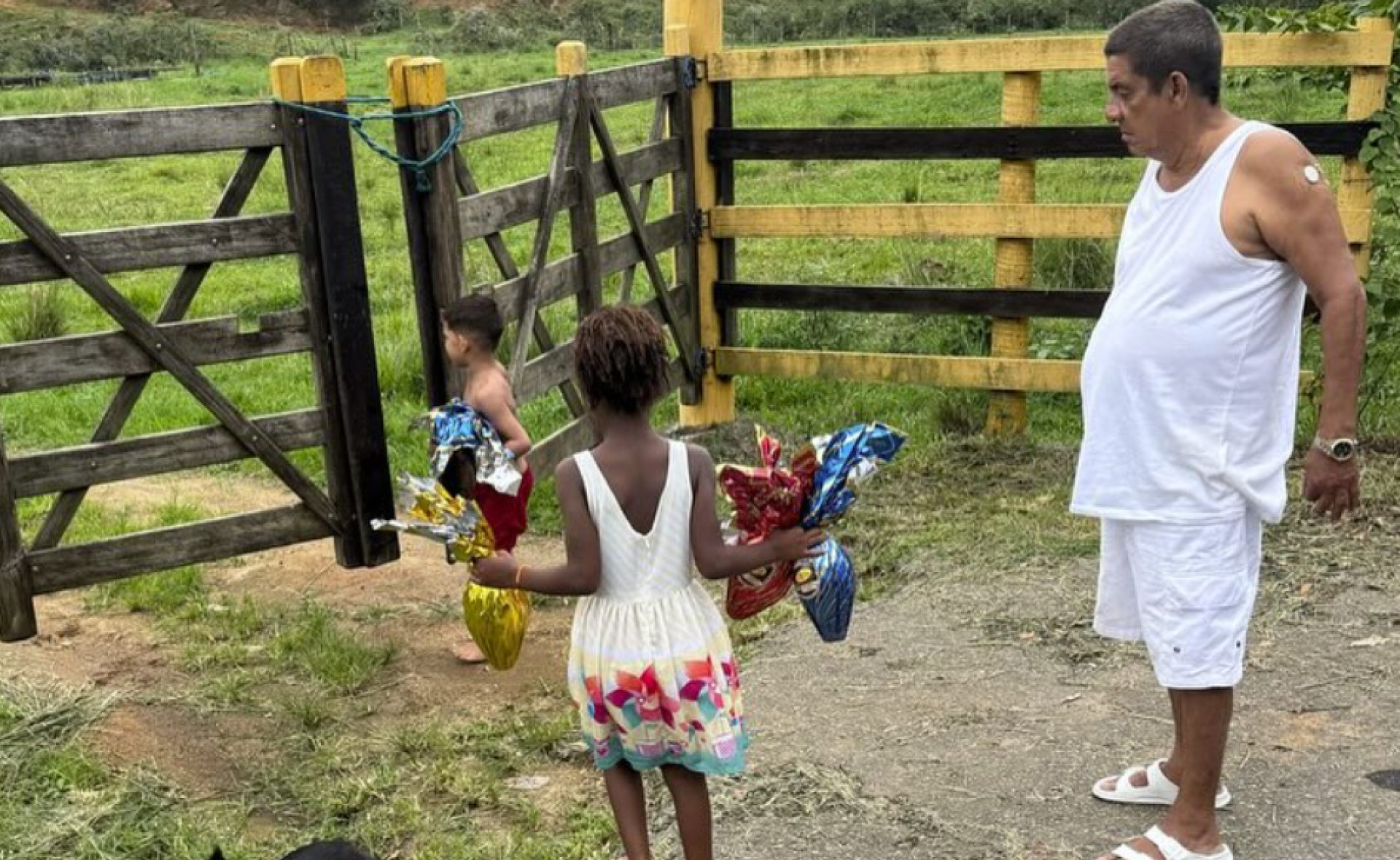 Zeca Pagodinho - reprodução Instagram