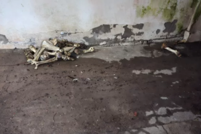 Animais mortos em freezer e anestésicos: o que a polícia encontrou na casa de médico em Arraial