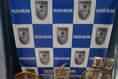 Sete aves silvestres são resgatadas de cativeiro em Cabo Frio após denúncia anônima