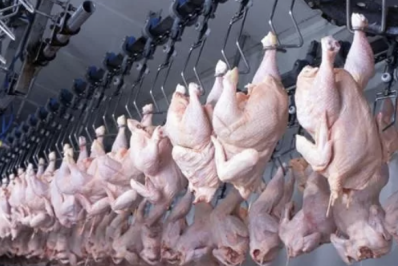 Exportações do agro ao mercado chinês podem render US$ 20 bi, estima governo