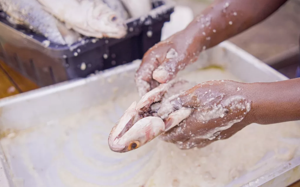 Festival Cultural e Gastronômico