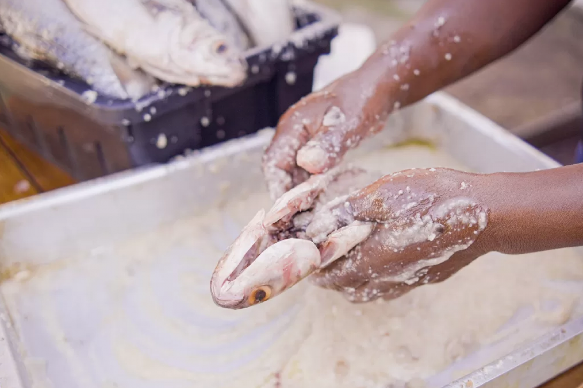 Festival Cultural e Gastron&ocirc;mico - Ascom 