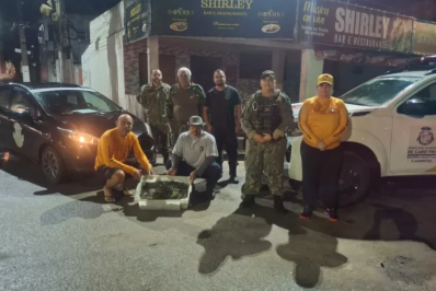 Camarões pescados ilegalmente são apreendidos em Cabo Frio