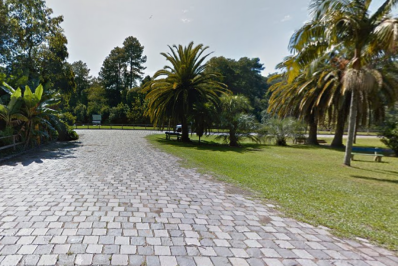 Mortes de gansos e patos em zoológico no RS foram por gripe aviária