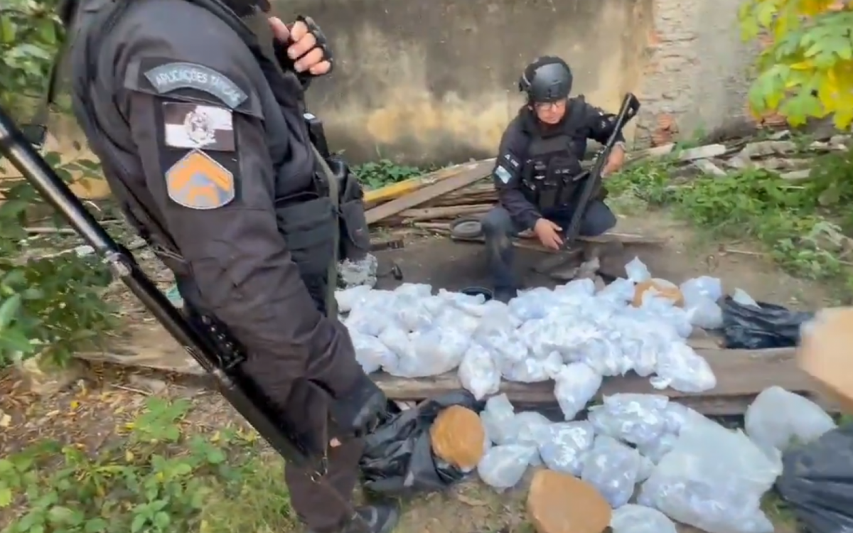 Drogas apreendidas no Complexo do Castelar