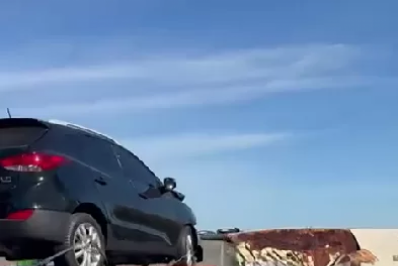 Carga de peixe é retirada após acidente na RJ-124; equipes trabalham na remoção dos veículos