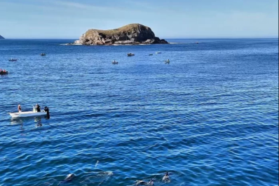 Grupo de Golfinhos-nariz-de-garrafa é avistado nas proximidades da Ilha dos Franceses, em Arraial do Cabo
