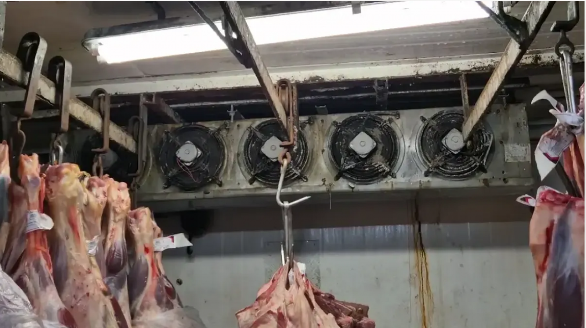 Carnes expostas a infestação de baratas e moscas no centro de Niterói - Divulgação / Procon-RJ / Sedcon