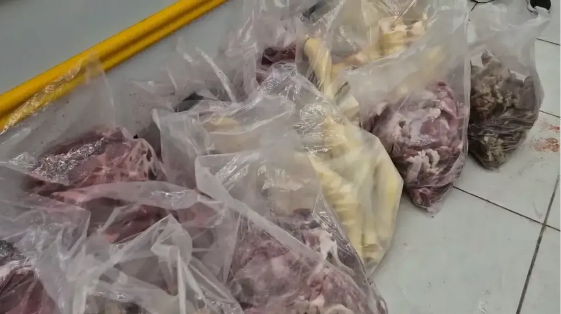 Proteínas encontradas sem identificação de manipulação e impróprias para consumo - Divulgação / Procon-RJ / Sedcon