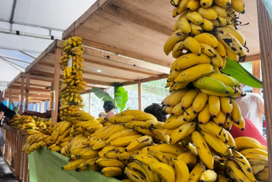 Araruama sedia reunião sobre financiamento agrícola com foco em pequenos e médios produtores