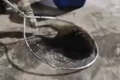 Ouriço-cacheiro é resgatado no Riocentro durante a Bienal