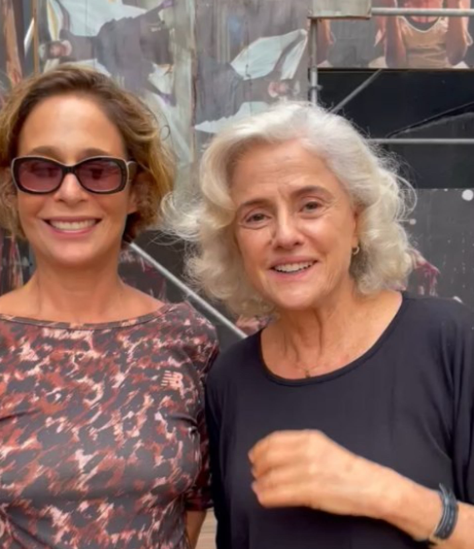 Andrea Beltrão e Marieta Severo - Reprodução de vídeo / Instagram