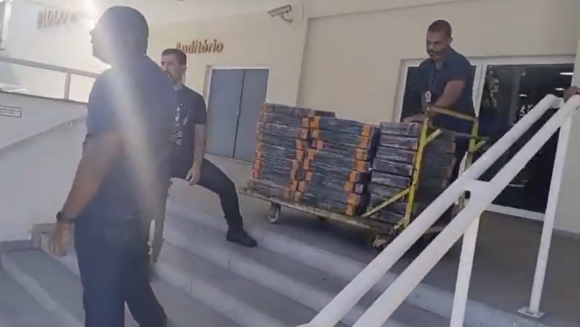 Foram apreendidos cerca de meia tonelada de maconha - Reprodução / Polícia Civil 