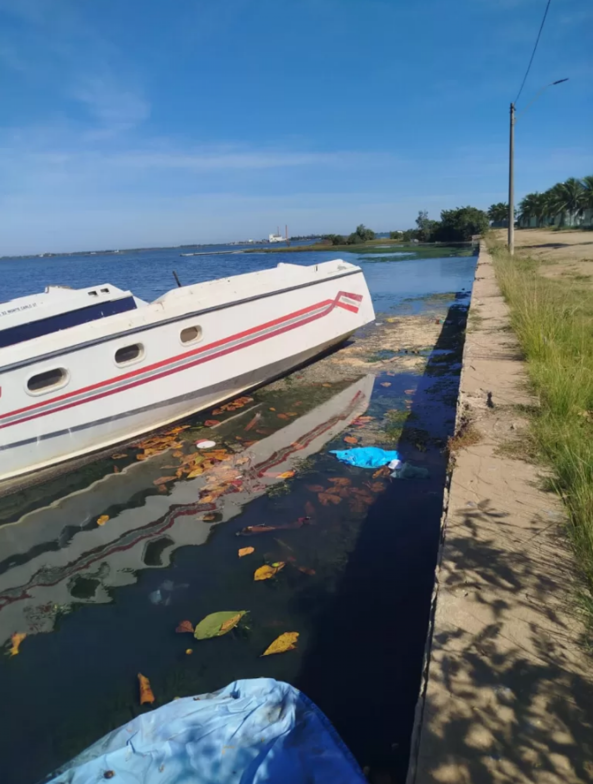 Abandono e crime ambiental em deck - Rede social 