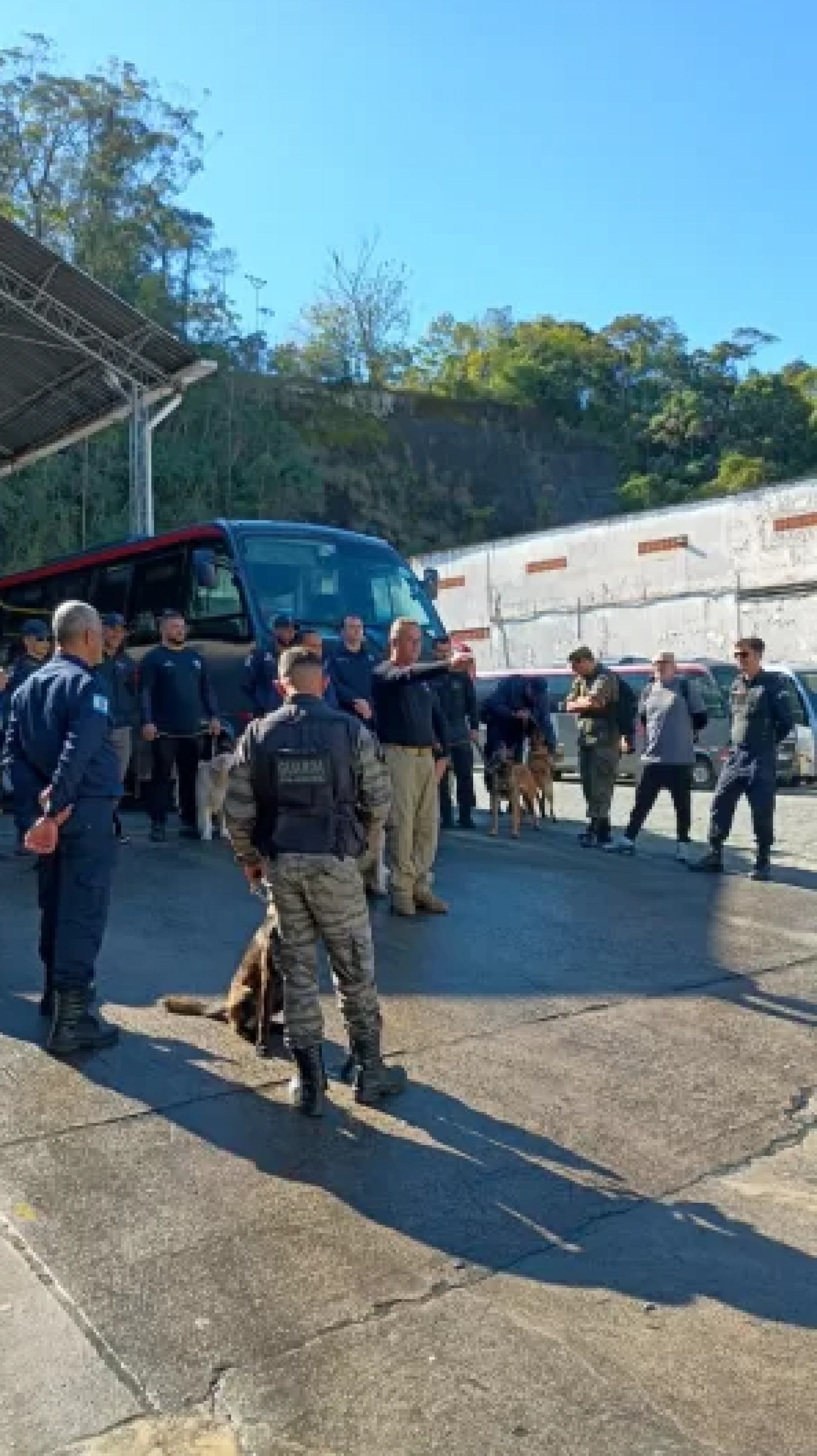 C&atilde;es da Guarda passam por treinamento - Ascom