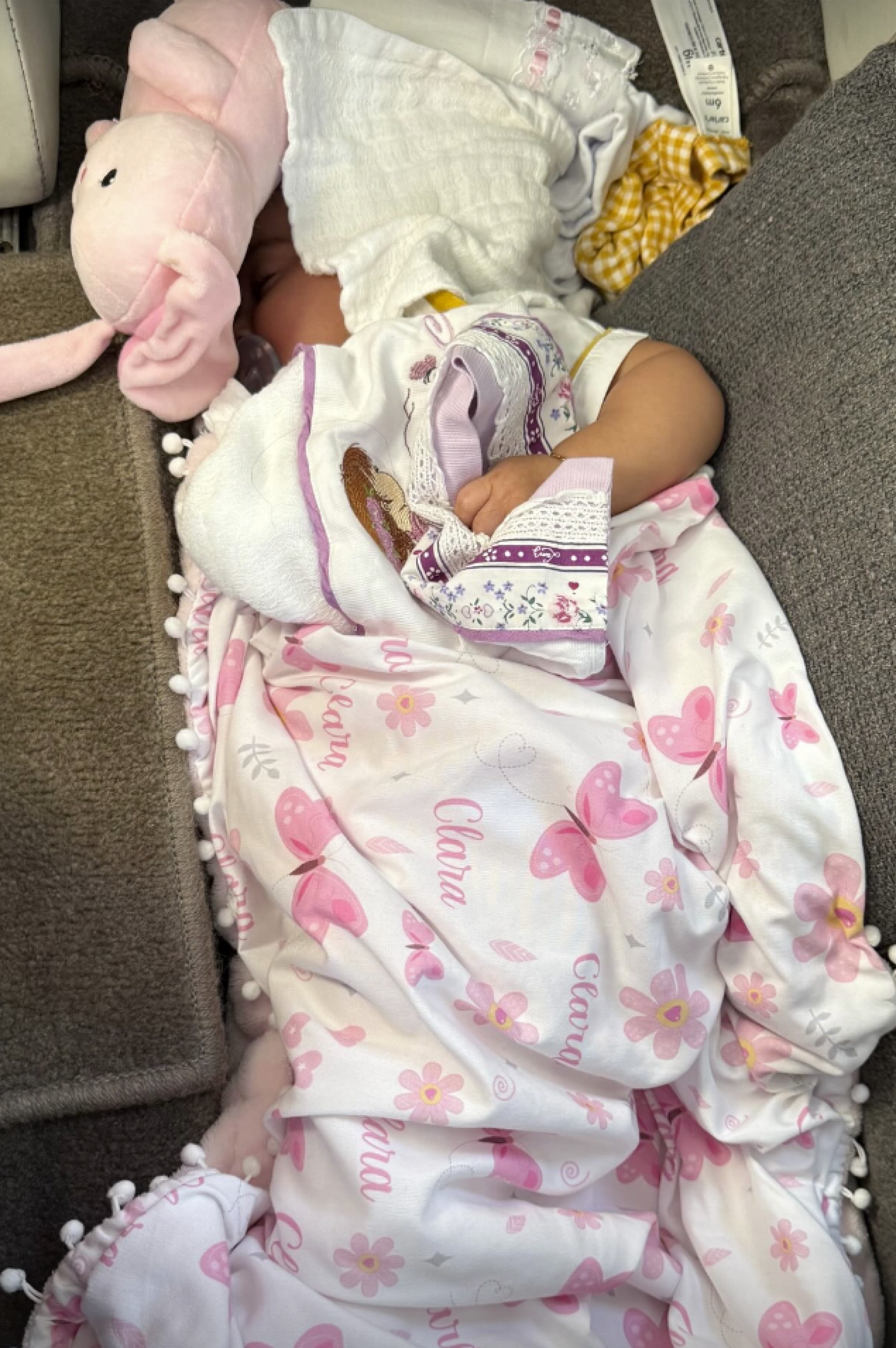 Graciele Lacerda encontra solução criativa para filha durante voo com Zezé Di Camargo - reprodução Instagram