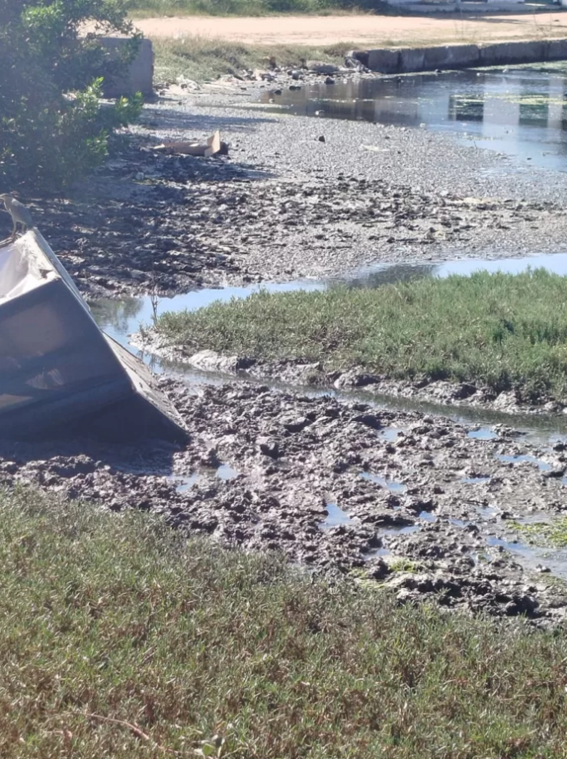 Abandono e crime ambiental em deck