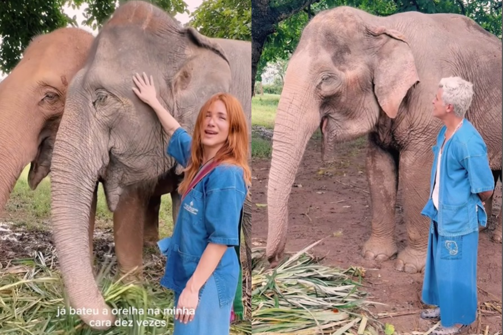 Bruno Gagliasso e Giovanna Ewbank visitam santuário de elefantes na Tailândia  - Reprodução Instagram