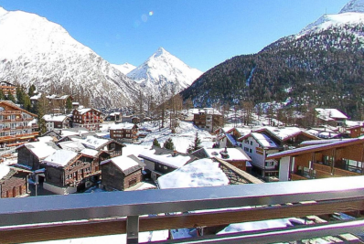 Chihuahua salva homem que caiu em geleira na Suíça