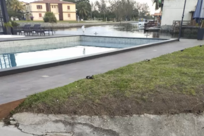 Pinguim-de-Magalhães é resgatado pela Guarda Marítima e Ambiental em Cabo Frio