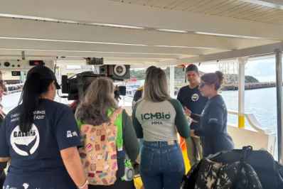 Após atropelamento de baleia, ICMBio realiza ação com embarcações em Arraial do Cabo