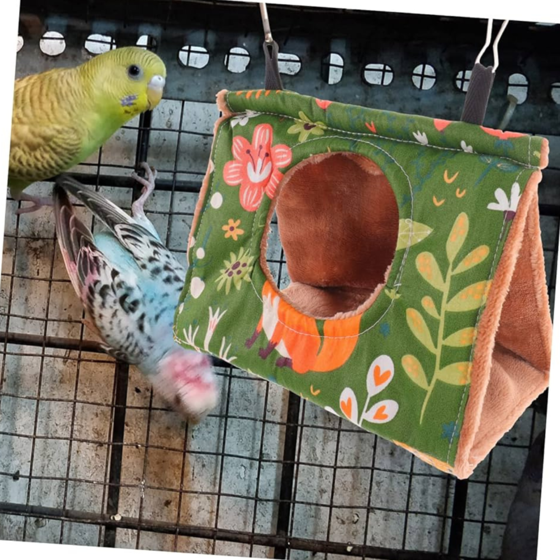 Viveiros devem dispor de abrigos para os pássaros