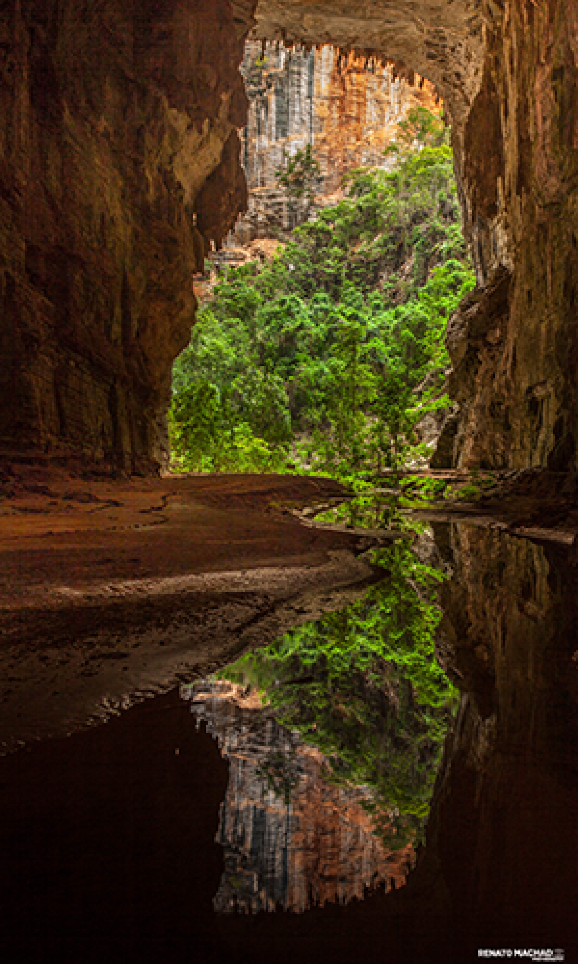 ruta do Janel&atilde;o &eacute; o principal atrativo do Parque - Divulga&ccedil;&atilde;o