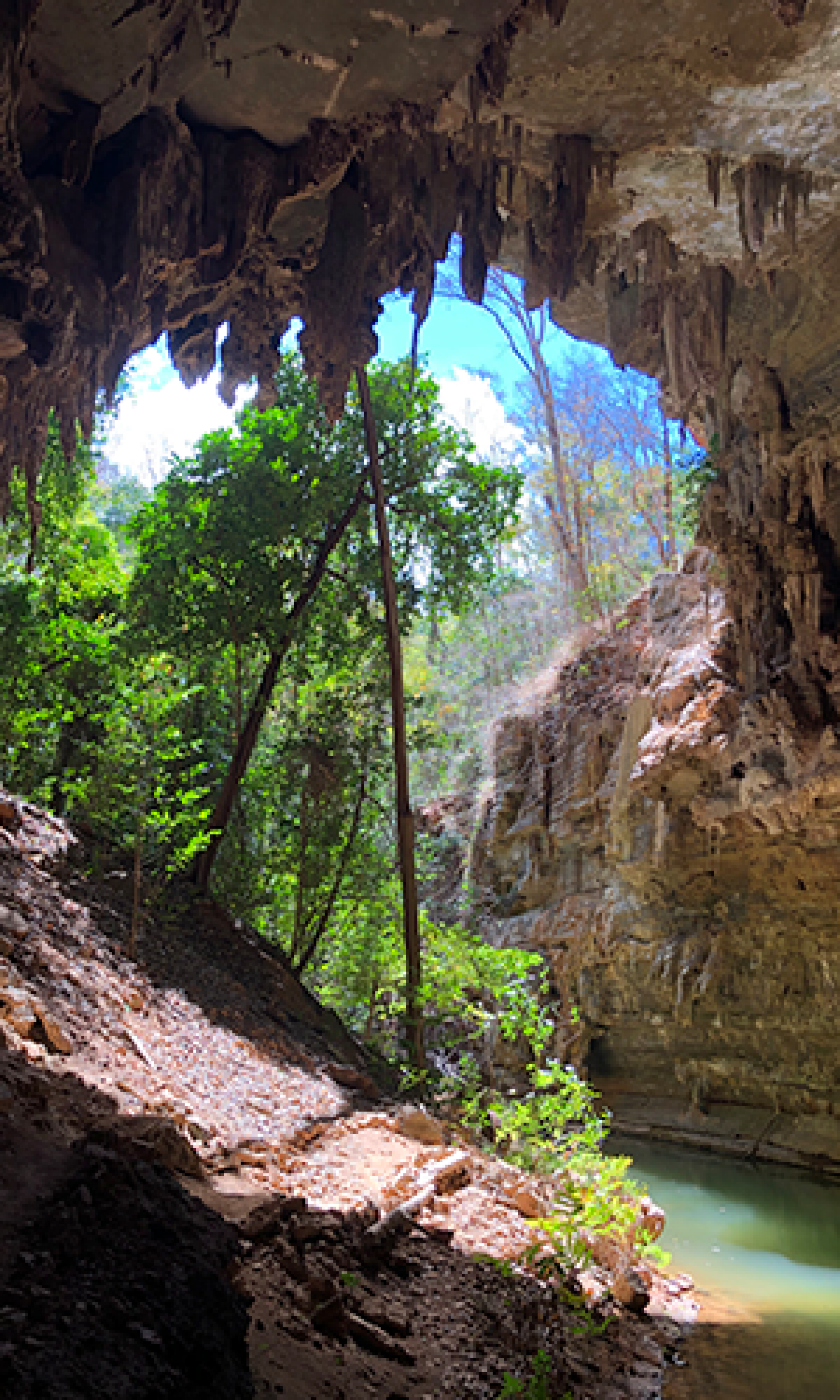Trilha do Arco do André conta com mirantes naturais únicos - Divulgação