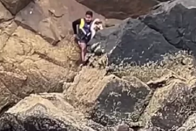 Cão idoso é resgatado em pedra por marinheiros em Arraial do Cabo e agora busca um lar