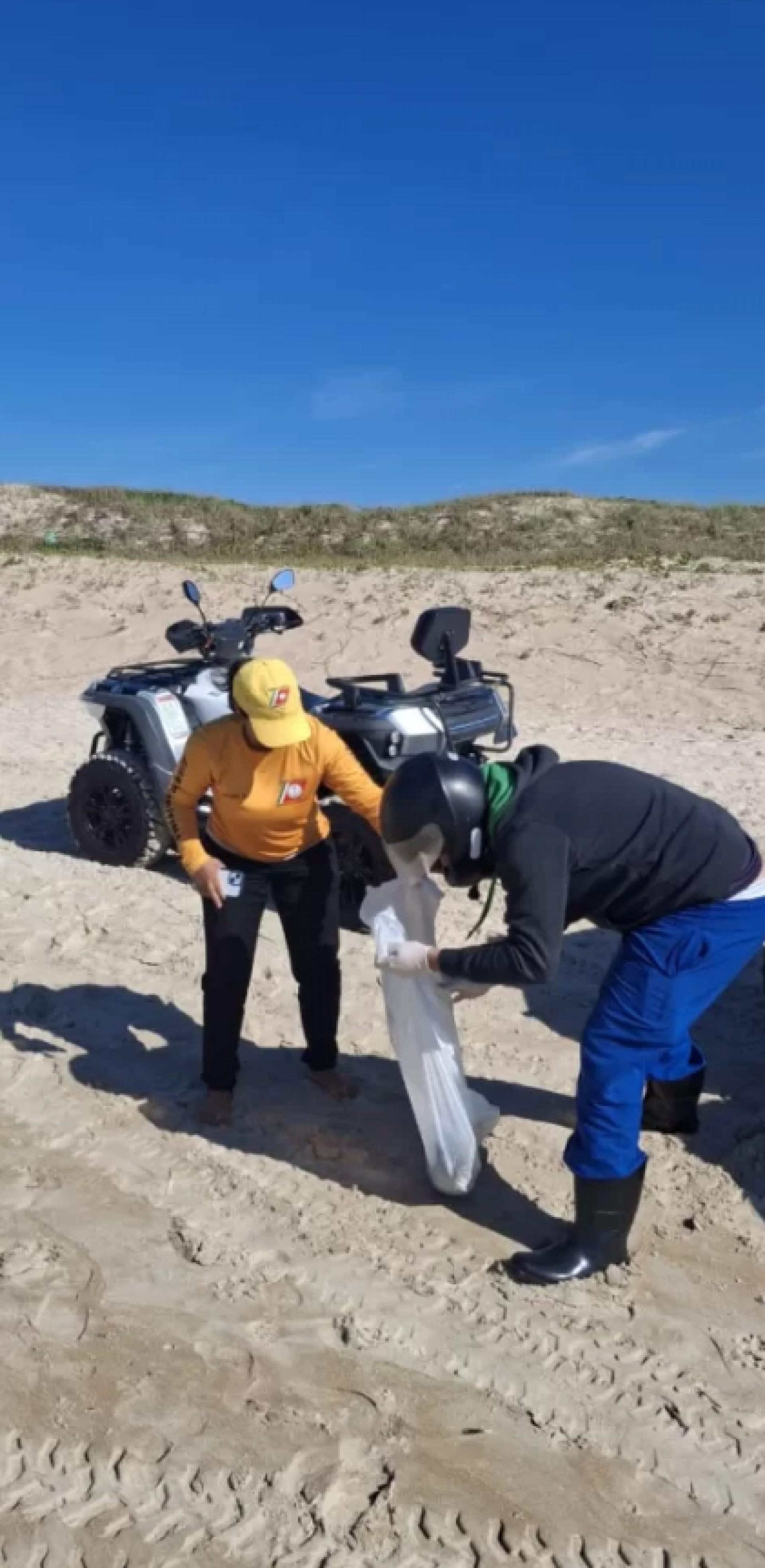 Grupamento da Guarda Mar&iacute;tima e Ambiental - Reprodu&ccedil;&atilde;o