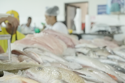 Mercado de Peixes de Macaé se destaca como um dos maiores polos de abastecimento da região