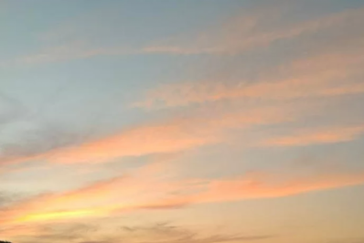 Em plena temporada de baleias, vacas surpreendem em praia de Cabo Frio