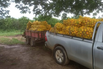 Oficina gratuita ensina produtores rurais de Cabo Frio a precificar corretamente seus produtos