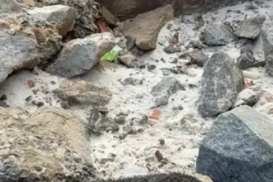 Leão-marinho é avistado descansando na Praia Grande, em Arraial do Cabo