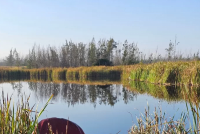 Carro cai na lagoa após motorista perder controle em curva na estrada de Arraial do Cabo