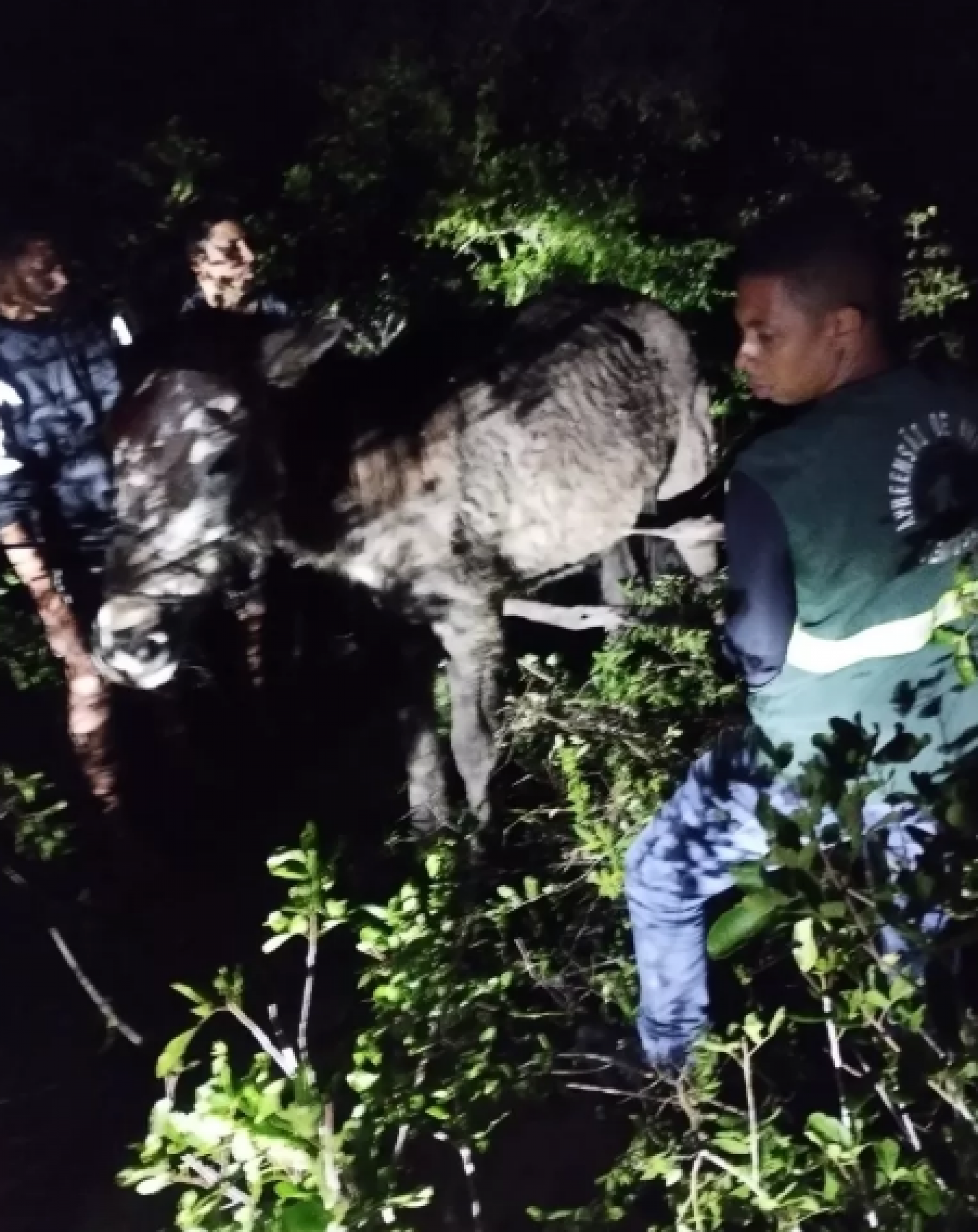 &Eacute;gua atolada em val&atilde;o &eacute; resgatada  - Ascom