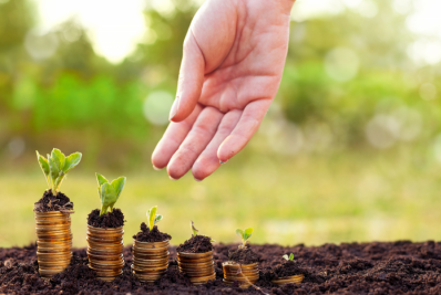 Decreto reabre prazo de renegociação de dívidas em regularização fundiária rural