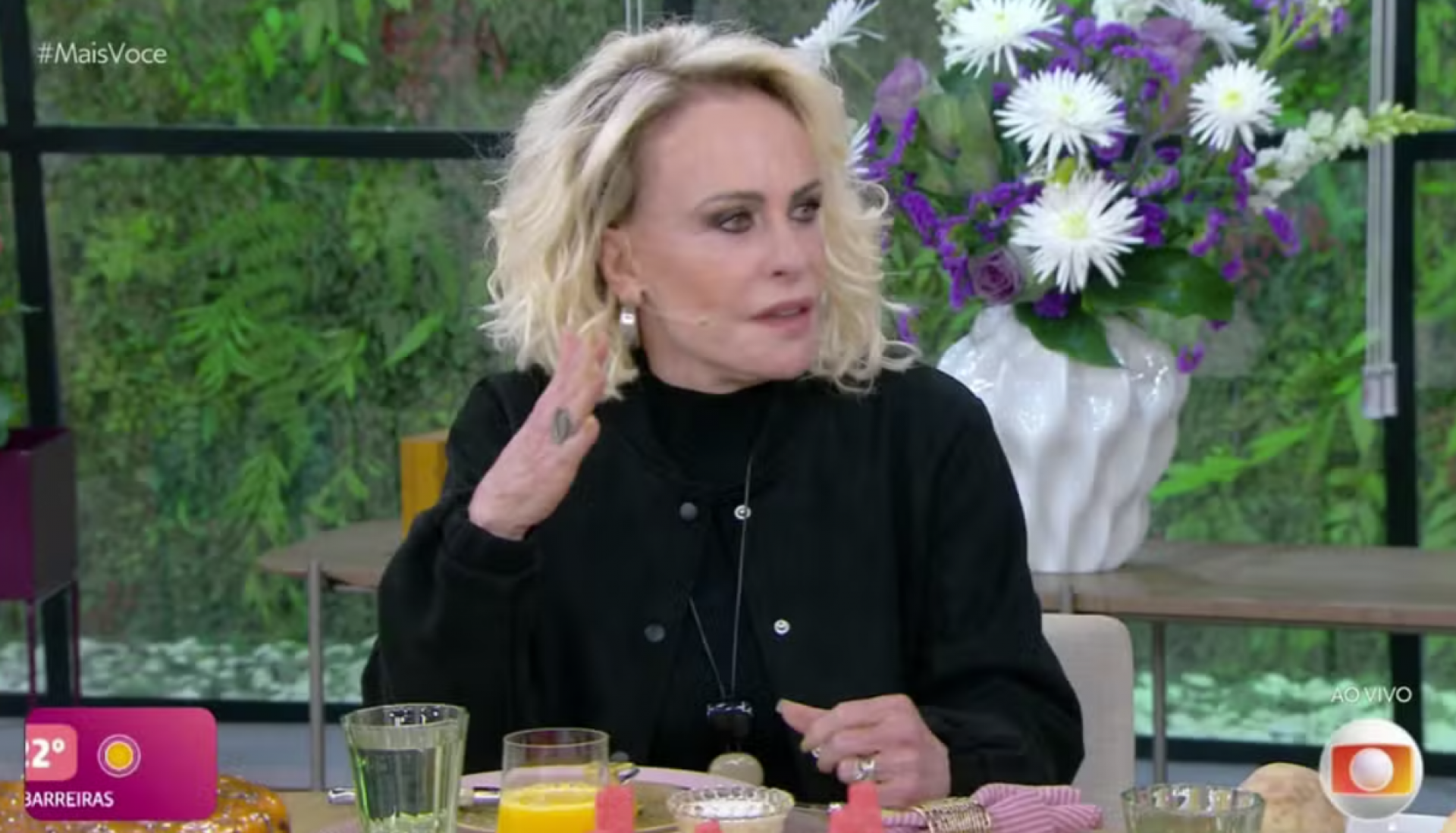 Ana Maria Braga - TV Globo