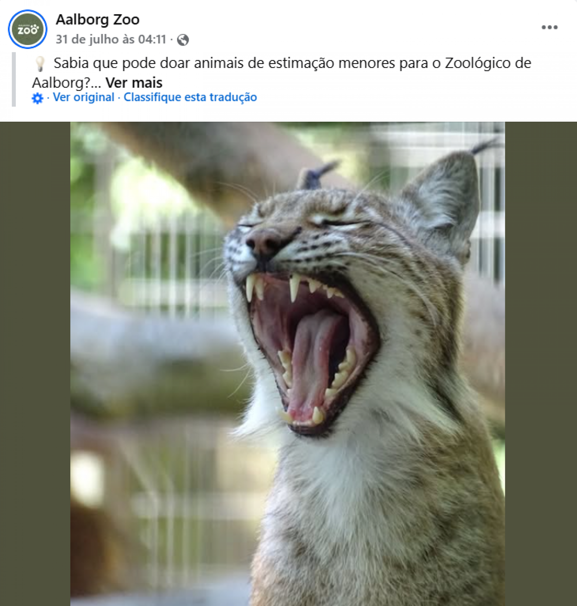 Publica&ccedil;&atilde;o gerou muita pol&ecirc;mica nas redes sociais - Reprodu&ccedil;&atilde;o / Redes Sociais