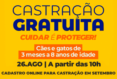 Atenção: castração gratuita de cães e gatos em Angra