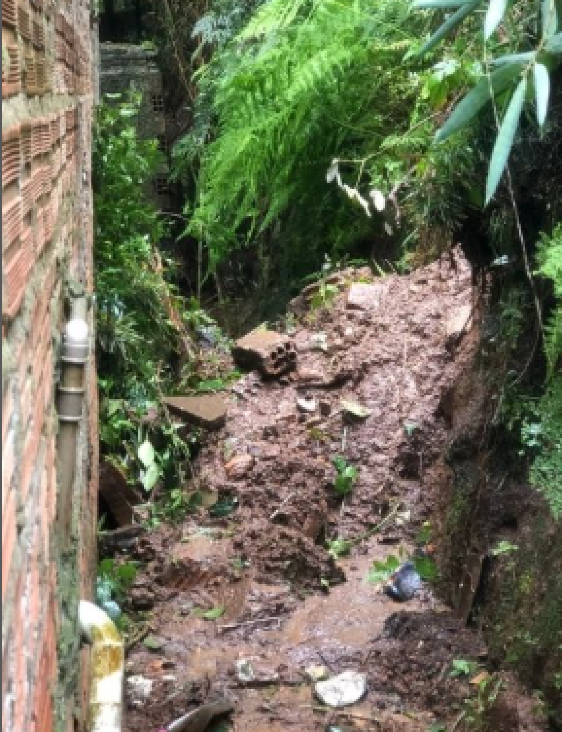 Chuvas deixam lugares alagados em Porto Alegre - Divulgação / Defesa Civil
