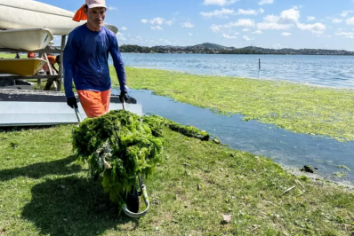 Prefeitura de Cabo Frio realiza retirada de algas mortas na Praia das Palmeiras