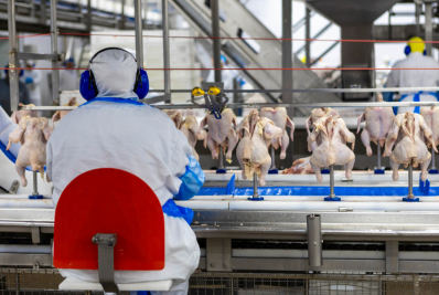 Avicultura brasileira exportou mais de R$ 29,7 bilhões em 2025, afirma ministério